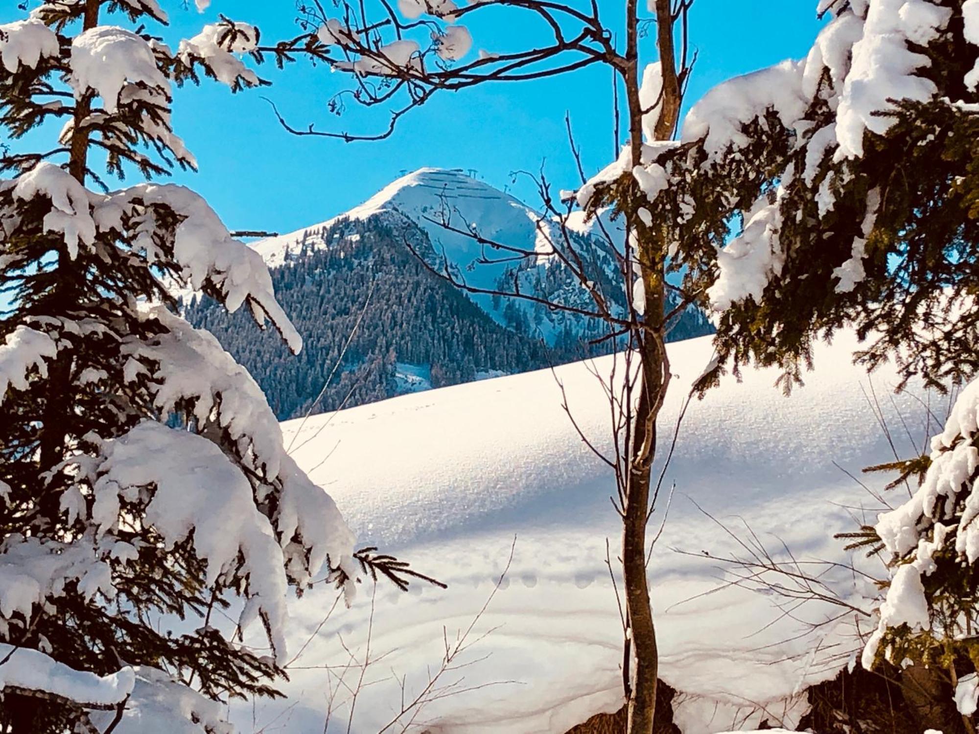 Appartements Living Saalbach Εξωτερικό φωτογραφία